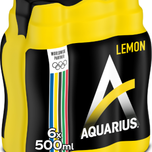 AQUARIUS LEMON PET 6X50CL