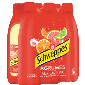 SCHWEPPPES AGRUMES PET 6X50CL