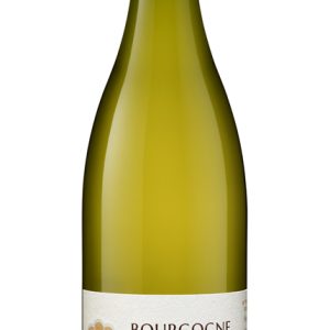 Bourgogne Chardonnay –  Blanc – Domaine Merlin