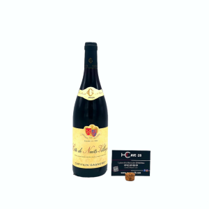 Côte de Nuits Villages 2022 – Les Guillandes – Domaine Capitain Gagnerot