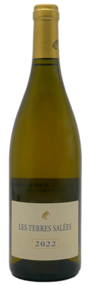 Les Terres Salées Vin Blanc 2024 | lot de 12 bouteilles